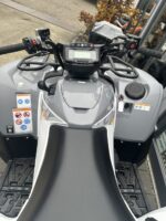 Quad Yamaha Grizzly 700 EPS, 49 ch, 686 cm3, T3B – Image 4