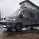 Roller Team Livingstone 6 XL Sport Limited LANZAROTE GREY